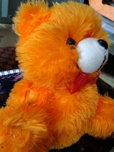 TEDDY