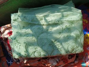 Beautiful Net Saree