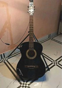 Acoustic Guitar