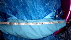 Organza Long Flaired Frock