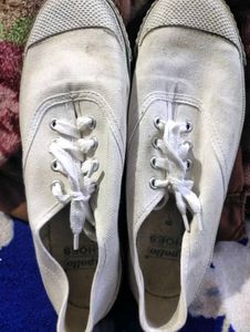 Apollo Shoes - Classic Canvas Sneakers