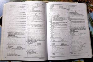 Class 9th English Plus Book