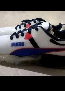 Men Shoe