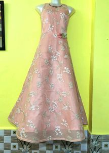 Elegant Ethnic Gown