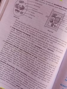 Class 9 Science