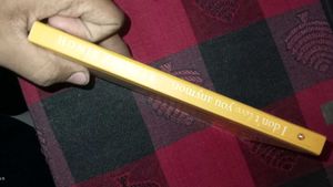 I Don&#39;t Love You Anymore Book