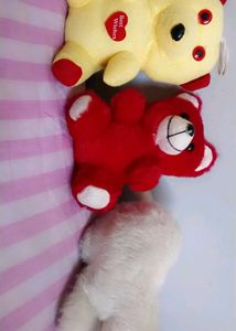 Cute Teddy Bear Trio