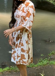 White And Brown Dress