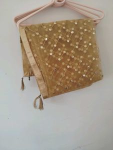 Gold Embellished Dupatta