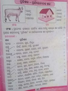 Ama Pilanka Bhasa Sahitya