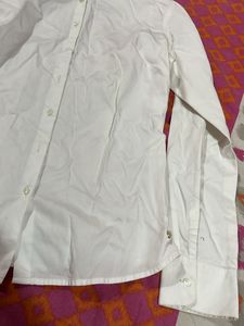 New Formal Shirt