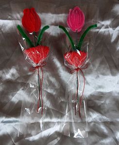 Pipe Cleaner Flower