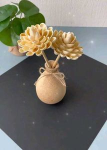 Pistachio Shells For School Projects