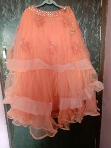 Peach Embellished Lehenga Skirt