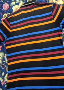 Moda Rapido Pure Cotton Polo Tshirt For Men