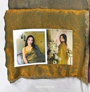 jimmy choo saree & Embroidered Brown Blouse
