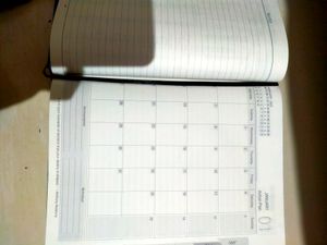 Unused DIARY