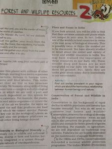 NCERT Class 10TH SOCIAL SCIENCE GEOGRAPHY