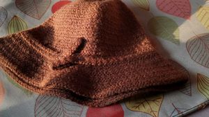 Pure Wool Cap For Teens (Small)
