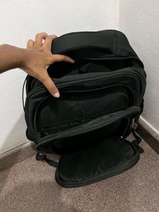 Flamingo&#39;s College/office Backpack