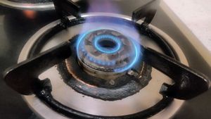 PADMINI Gas Stove