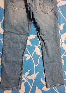 Brand New LEE jeans
