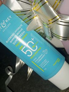 DONKEY CARE Blueberry Sunscreen