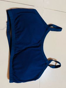 Navy Blue Bra New With Tag