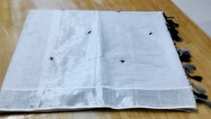 Kerala Silk Cotton Saree
