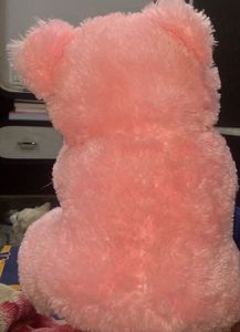 Pink Teddy Bear