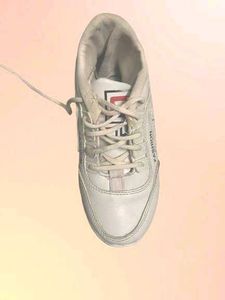 Fashion Sneakers