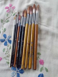 Paint Brushes Set Of10,Camel Artist Colour,Palette