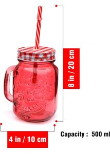 Glass Mason Jar with Straws &amp; Lids