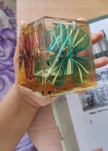 Pen Holder With Liquid And Stars In It