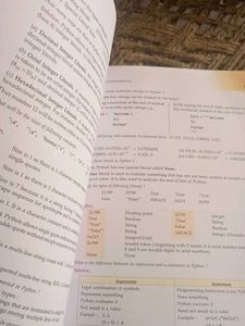 Computer Science Class 11 Book