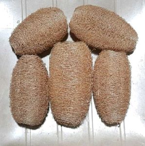 Pack Of 5 Natural Loofah