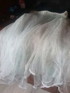 Beautiful  Net Lehnga