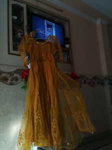 Mirror Mustard Work Gown
