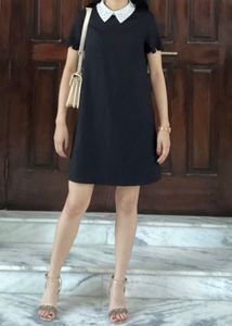 Korean Collar Pinterest Dress