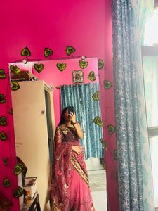 Rose Blush Embroidered Net Saree