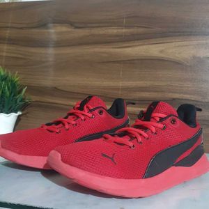 Puma Running Shoes OG