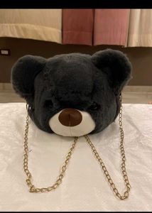 Teddy Bag
