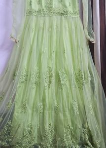 Elegant Ethnic Gown