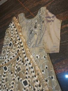 Elegant Ethnic Gown