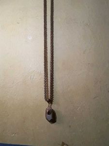 Chain And Tiger Locket