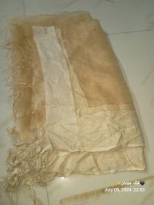 Heavy Pearl Work Dupatta Net Tissue Material