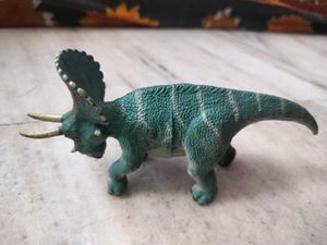 K&amp;M Toy