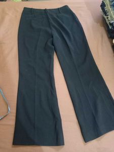 formal pant