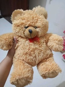 Teddy For Kids