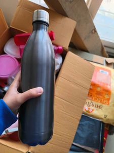 Sleek Stainless Steel Water Bottle